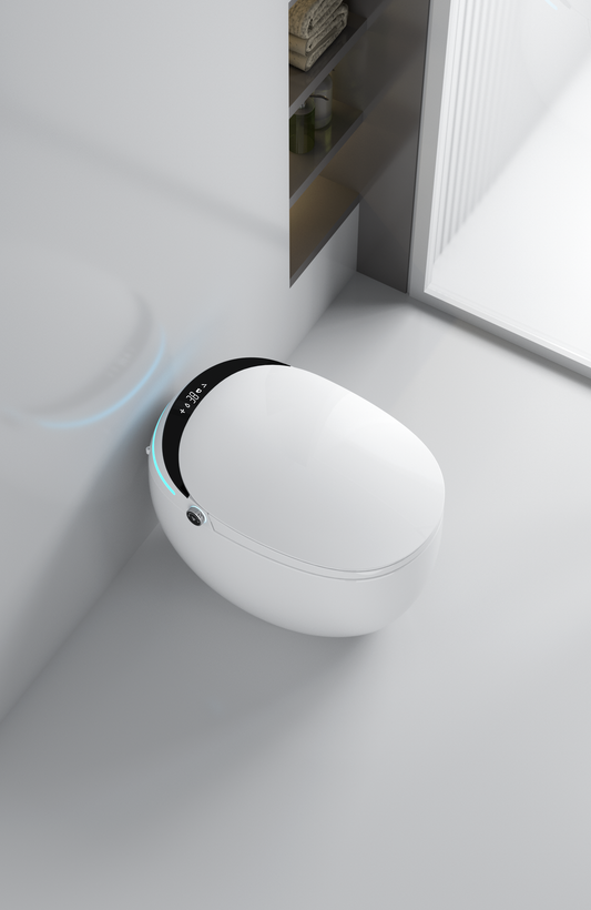Research report on the smart toilet in 2023