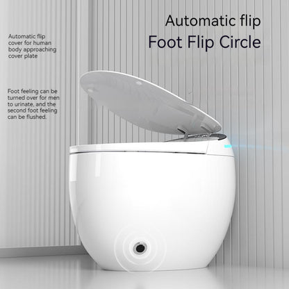 Smart toilet 001