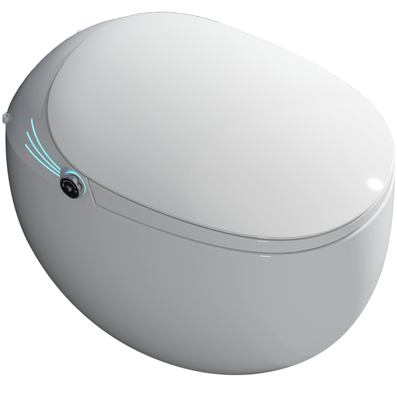 Smart toilet 002